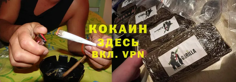 как найти   Кандалакша  Cocaine 98% 